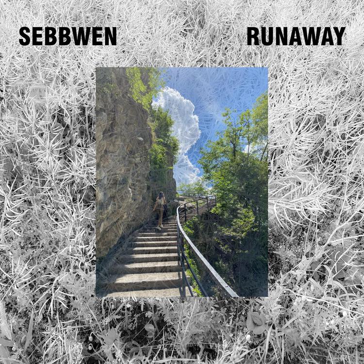 Sebbwen's avatar image