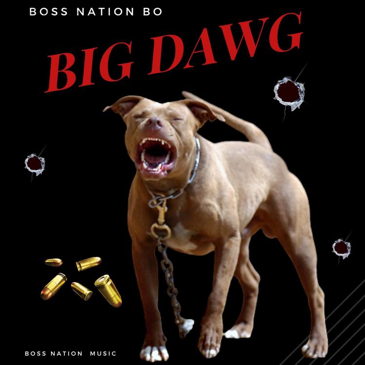 Boss Nation Bo's avatar image