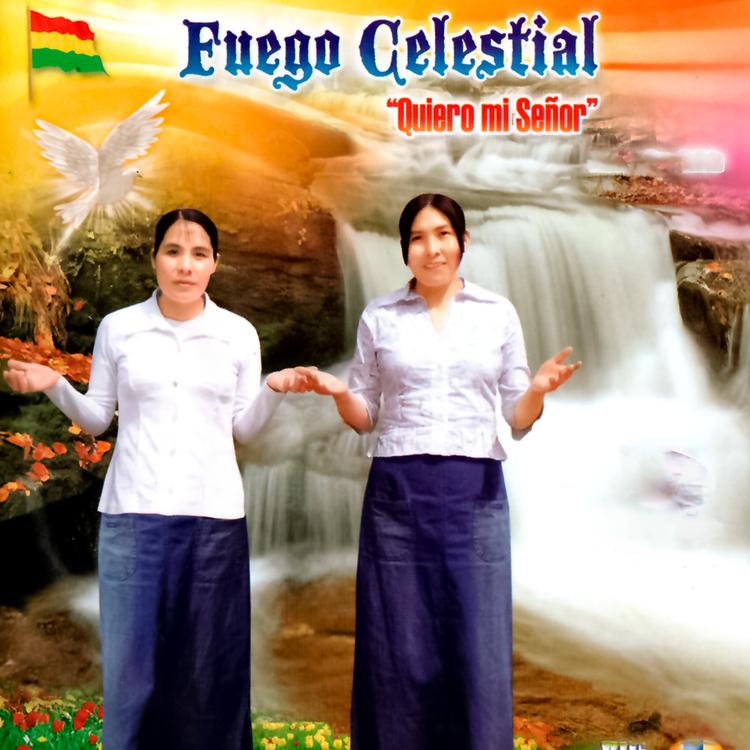 Fuego Celestial's avatar image