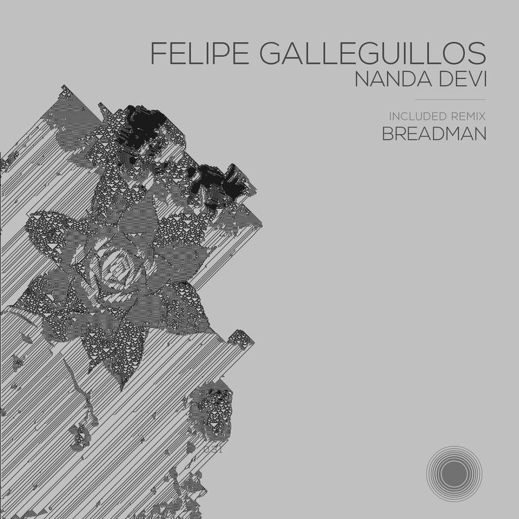 Felipe Galleguillos's avatar image