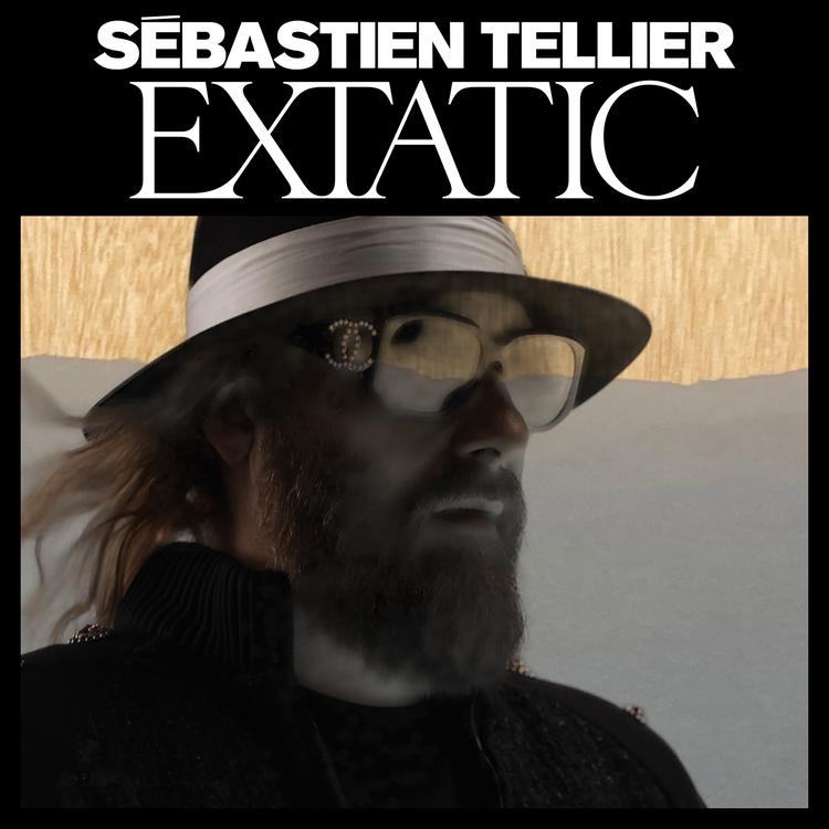 Sébastien Tellier's avatar image