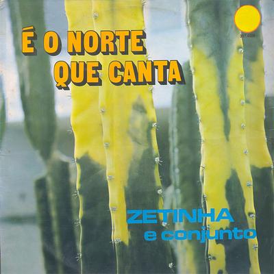 Zetinha's cover