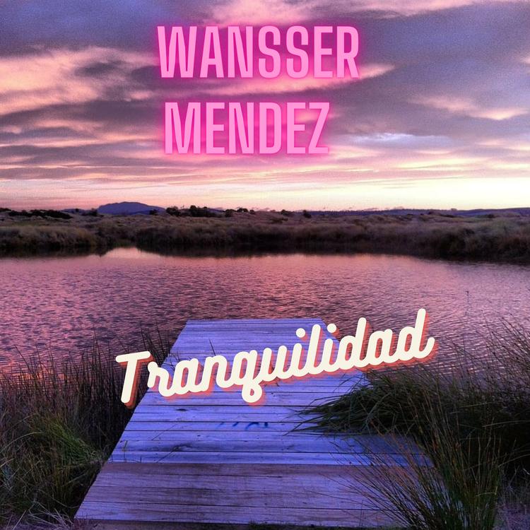 Wansser Mendez's avatar image