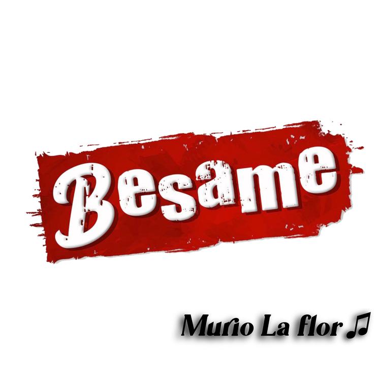 Besame's avatar image