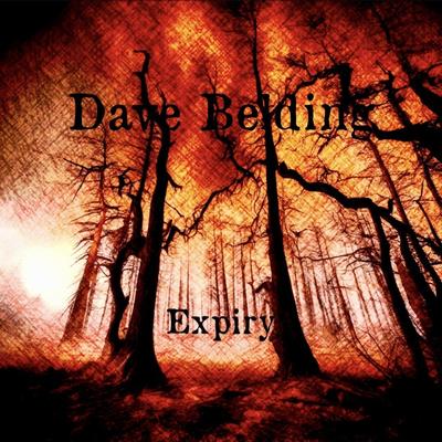 Expiry By Dave Belding's cover