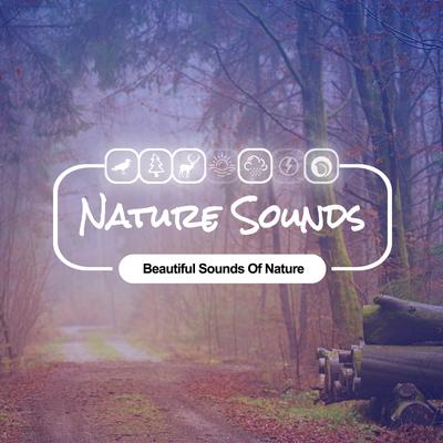 Rain & Birds By Nature Sounds's cover