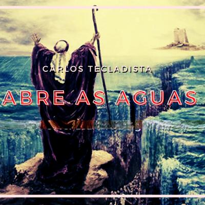 Meu Adivogado By Carlos tecladista's cover