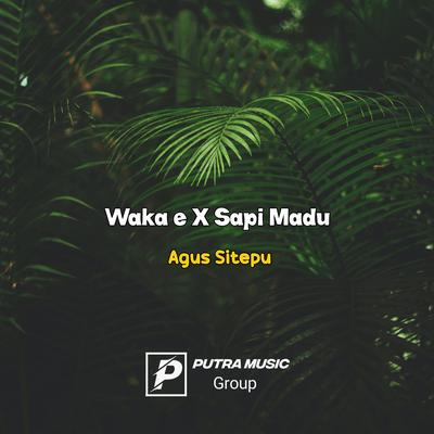 Waka e X Sapi Madu's cover