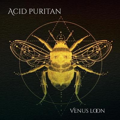 Acid Puritan's cover