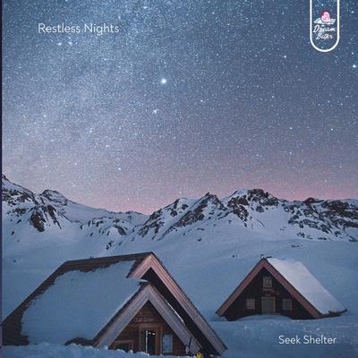 Restless Nights By Seek Shelter's cover