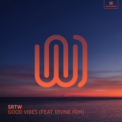 Good Vibes By SRTW, Divine Fem's cover