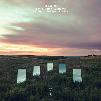 Survive (Sultan + Shepard Remix) By Lane 8, Channy Leaneagh, Sultan + Shepard's cover