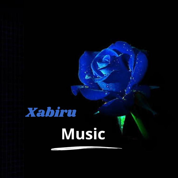 Xabiru's avatar image