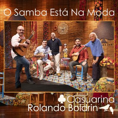 O Samba Está Na Moda (Ao Vivo)'s cover