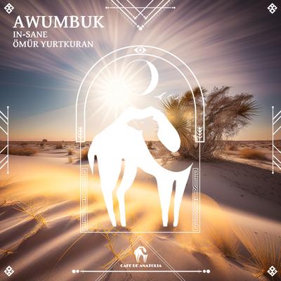 Awumbuk (Radio Mix 2)'s cover