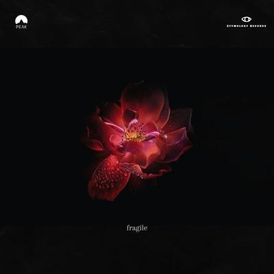Fragile's cover