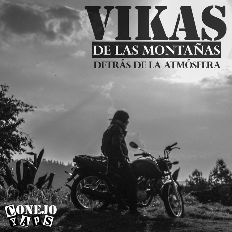 Vikas de las Montañas's avatar image