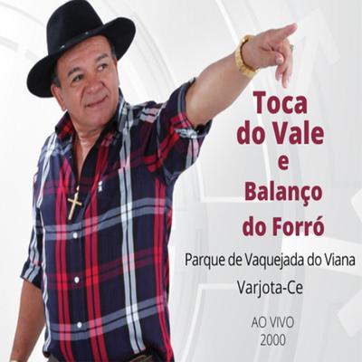 Faz Tanto Tempo - Ao Vivo By Toca do Vale, Balanço do Forró's cover