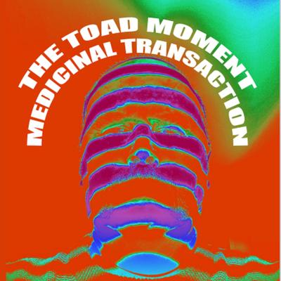 The Toad Moment's cover