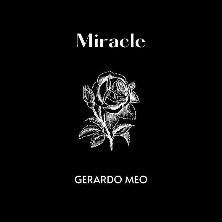 Gerardo Meo's avatar image