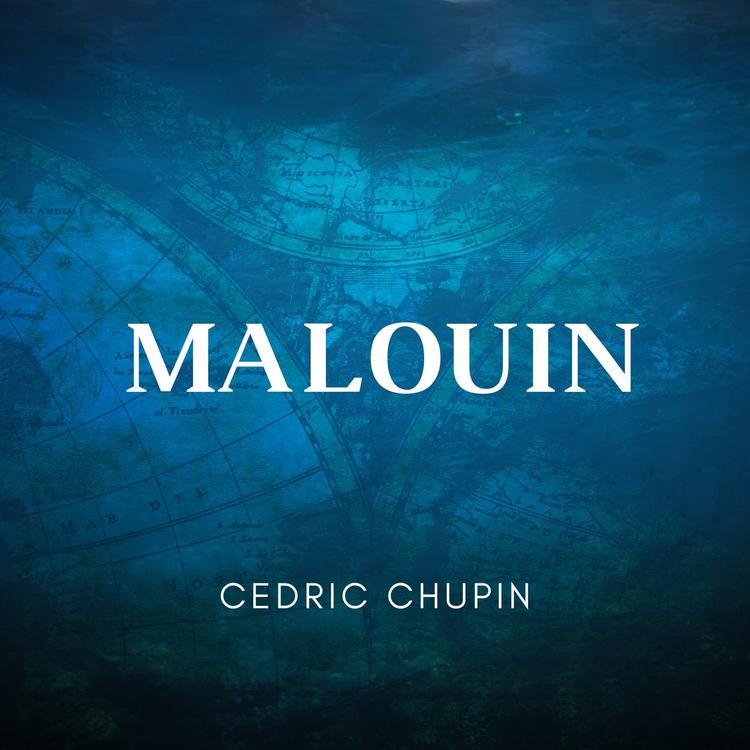 Cédric Chupin's avatar image