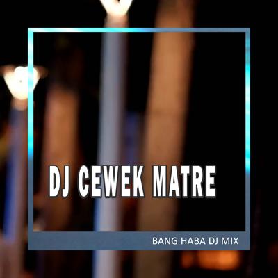 DJ Cewek Matre (Remix)'s cover