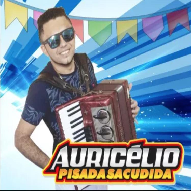 Auricélio & Pisada Sacudida's avatar image