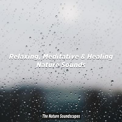 Relaxing, Meditative & Healing Nature Sounds's cover