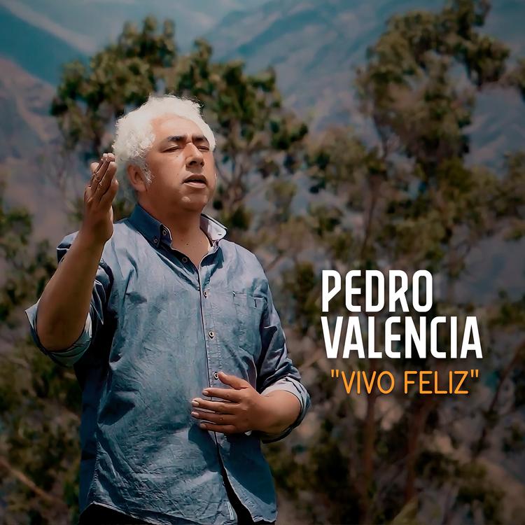 Pedro Valencia's avatar image