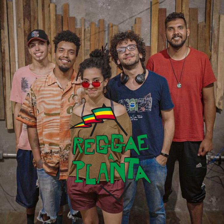 Reggae a Planta's avatar image
