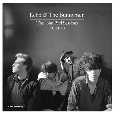Read It In Books (John Peel Session) [2019 Remaster] By Echo & the Bunnymen's cover