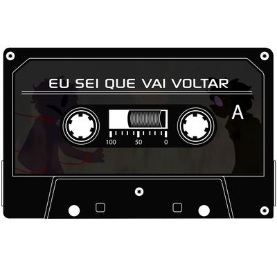 Eu Sei Que Vai Voltar (Playback) By Jimmy Maximus's cover