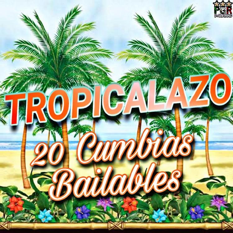 Tropicalazo's avatar image