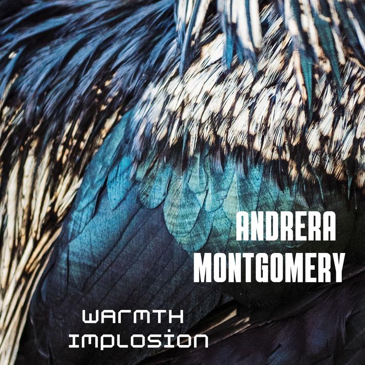 Andrera Montgomery's avatar image