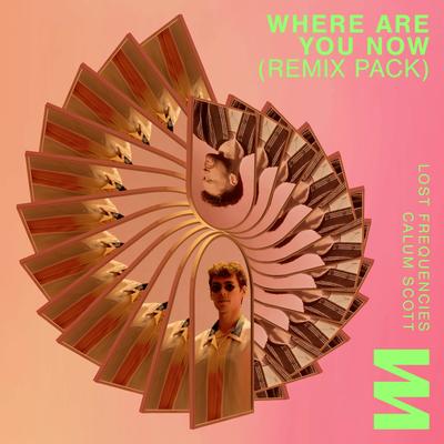 Where Are You Now  (Kungs Remix)'s cover