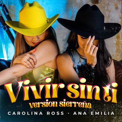 Vivir Sin Ti ( Version Acustica )'s cover