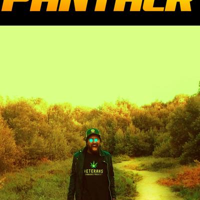 Dark Street Panther's cover