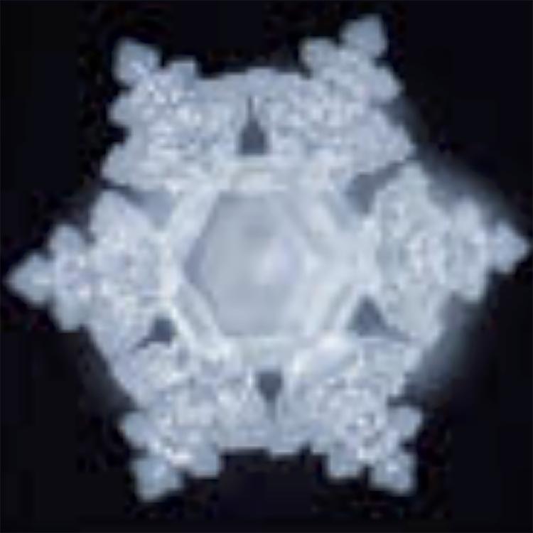 Heart Chakra's avatar image