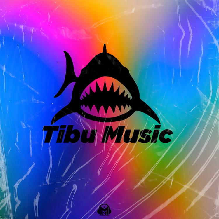 TibuMusic's avatar image