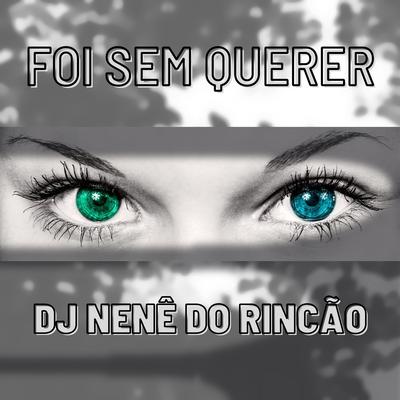 Foi Sem Querer By Dj Nenê Do Rincão's cover