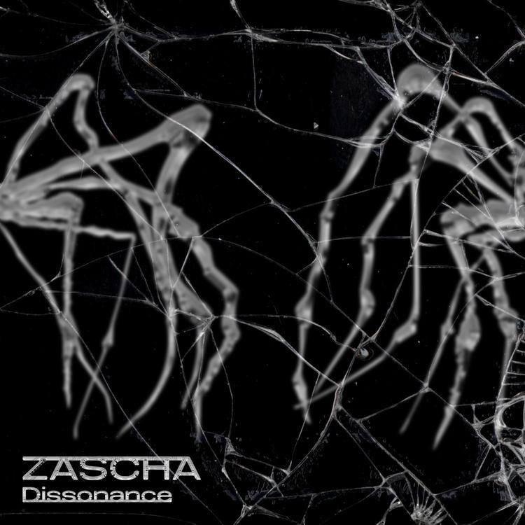 Zascha's avatar image