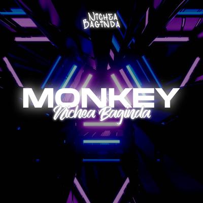 DJ Monkey Remix's cover