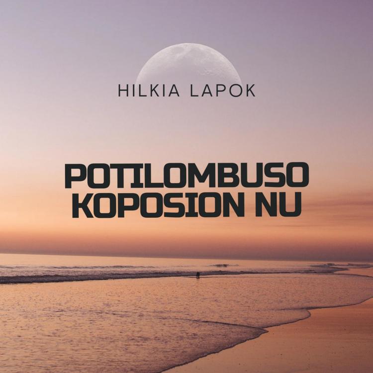Hilkia Lapok's avatar image