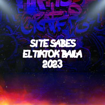 Si Te Sabes El TikTok Baila 2023 By DJ Stephany's cover