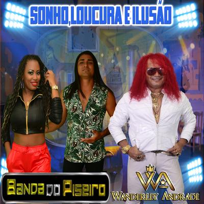 Sonho, loucura e ilusão By Wanderley Andrade, Banda Do Piseiro's cover