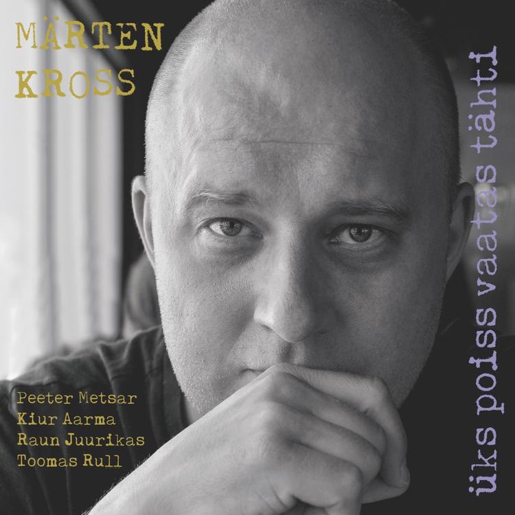 Märten Kross's avatar image