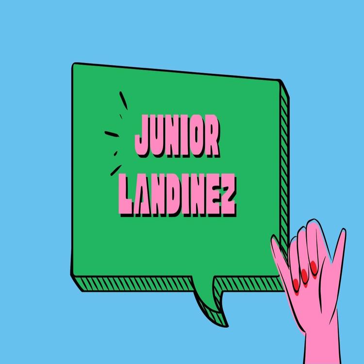 Junior Landinez's avatar image