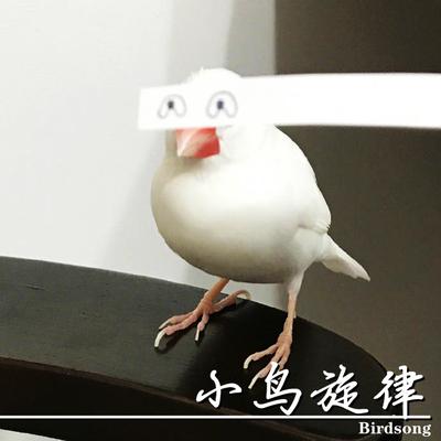 小鸟旋律（Birdsong）'s cover