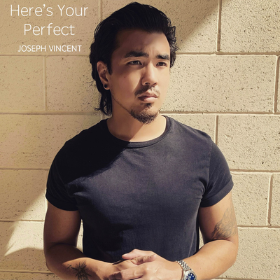 Here's Your Perfect By Joseph Vincent's cover