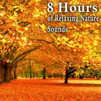 8 Hours of Relaxing Nature Sounds's cover